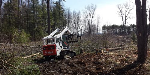 Land Clearing, Forestry Mulching, Brush Clearing, Free Estimate